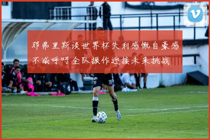 邓弗里斯谈世界杯失利感慨自豪感不减呼吁全队振作迎接未来挑战