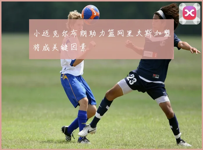 小迈克尔布朗助力篮网里夫斯加盟将成关键因素