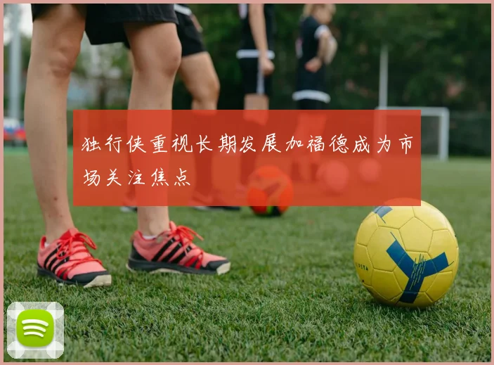 独行侠重视长期发展加福德成为市场关注焦点