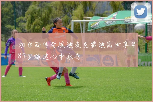 切尔西传奇埃迪麦克雷迪离世享年85岁球迷心中永存